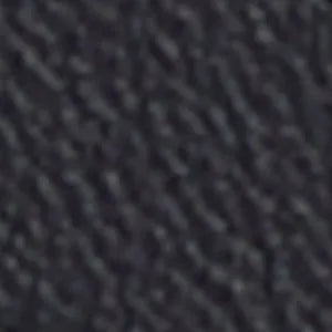 Sunfish Thong Sandal